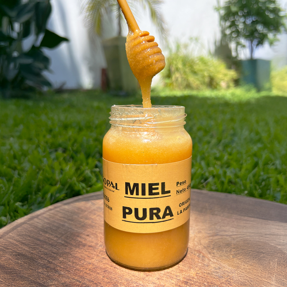 Miel envase de vidrio